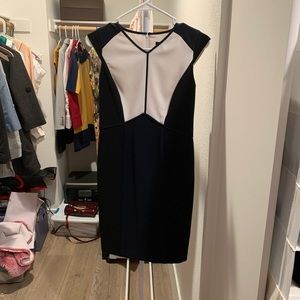 Ann Taylor Dress